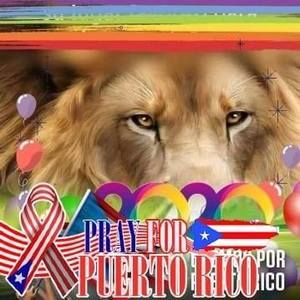 Meet your Posher, Wanda